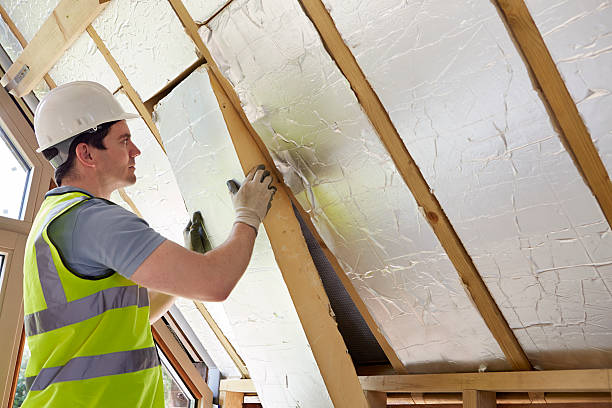 Best Specialty Insulation in Lester Prairie, MN