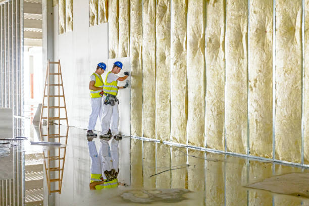 Best Commercial Insulation in Lester Prairie, MN
